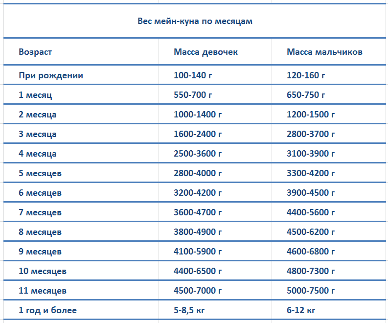 Месечно тегло на Мейн Кун - маса