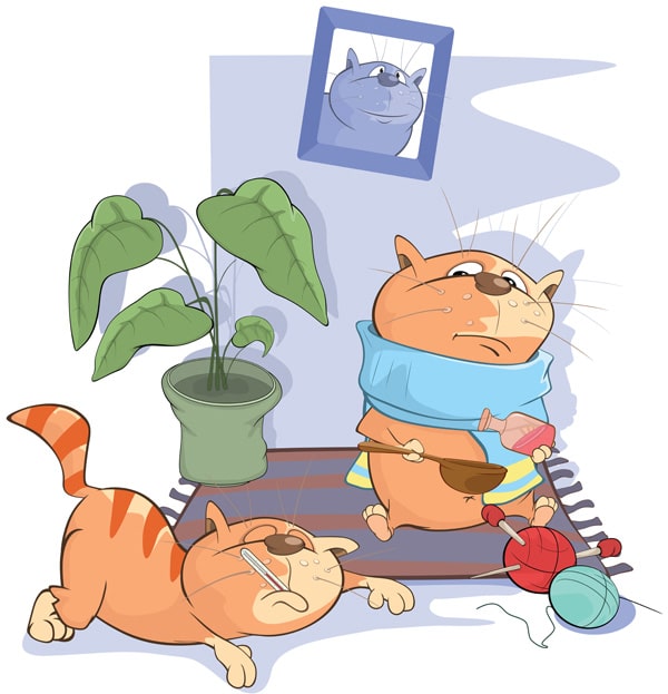 Симптоми при котка