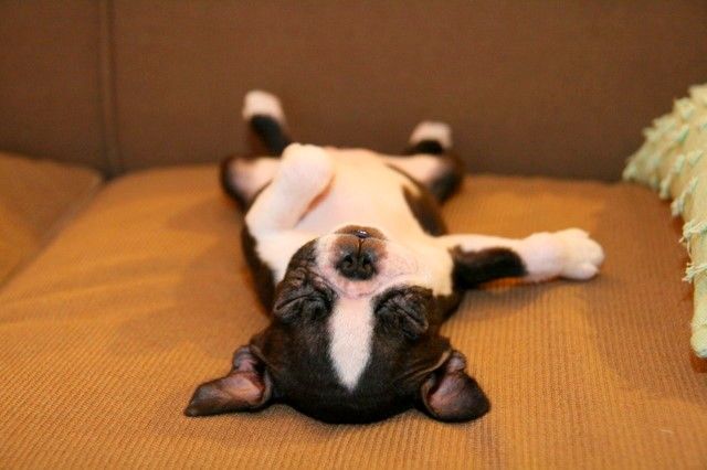 Тих час. Не безпокойте никого.
